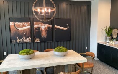 Aspire at Sherman ~ Sherman, TX 